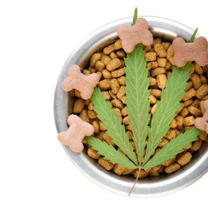 THCA Flower: Innovations in Extraction Methods