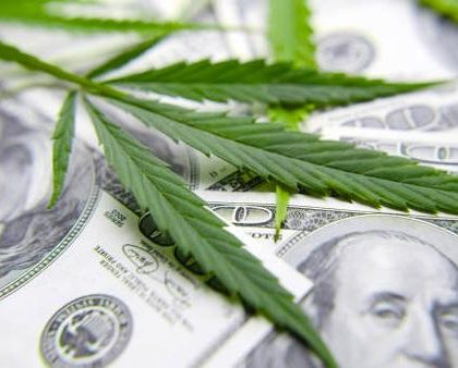 Discover the Best Delta 8 Flower for a Smooth Experience