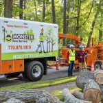 How Tree Services Help Prevent Wildfires: Fire Safety Starts with Expert Tree Care