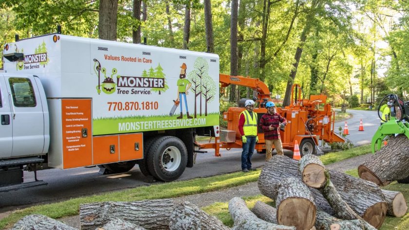 How Tree Services Help Prevent Wildfires: Fire Safety Starts with Expert Tree Care