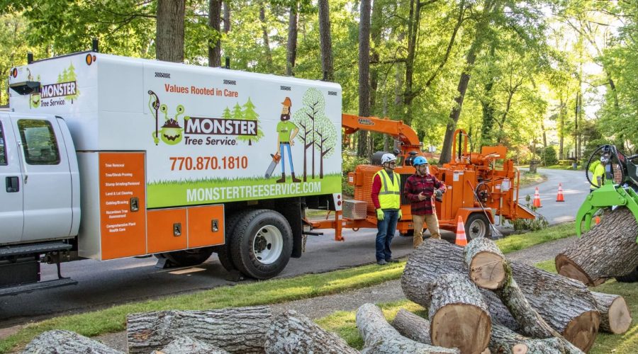 How Tree Services Help Prevent Wildfires: Fire Safety Starts with Expert Tree Care