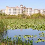 Explore the Pros and Cons of Booking Your Vacation Through Westgate